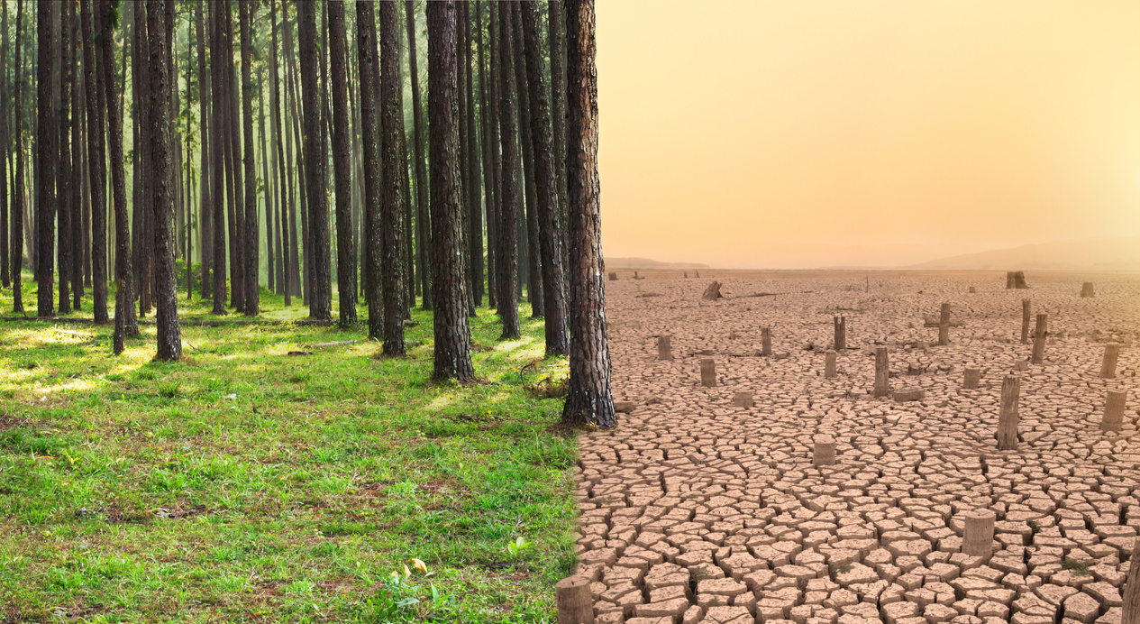 Environment Disaster and Climate Change